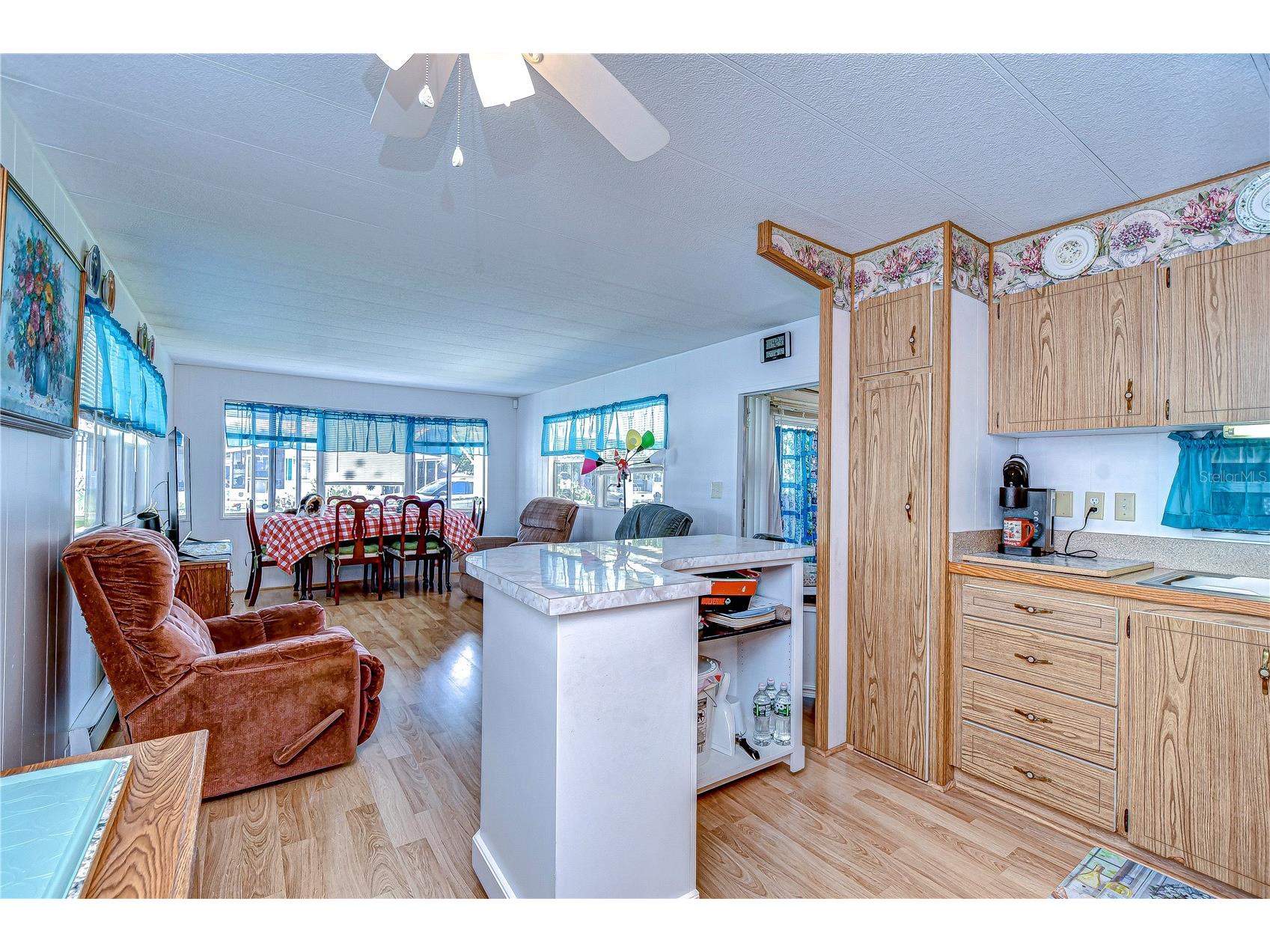 4529 Olive Drive Zephyrhills FL 33542 TB8494795 image28