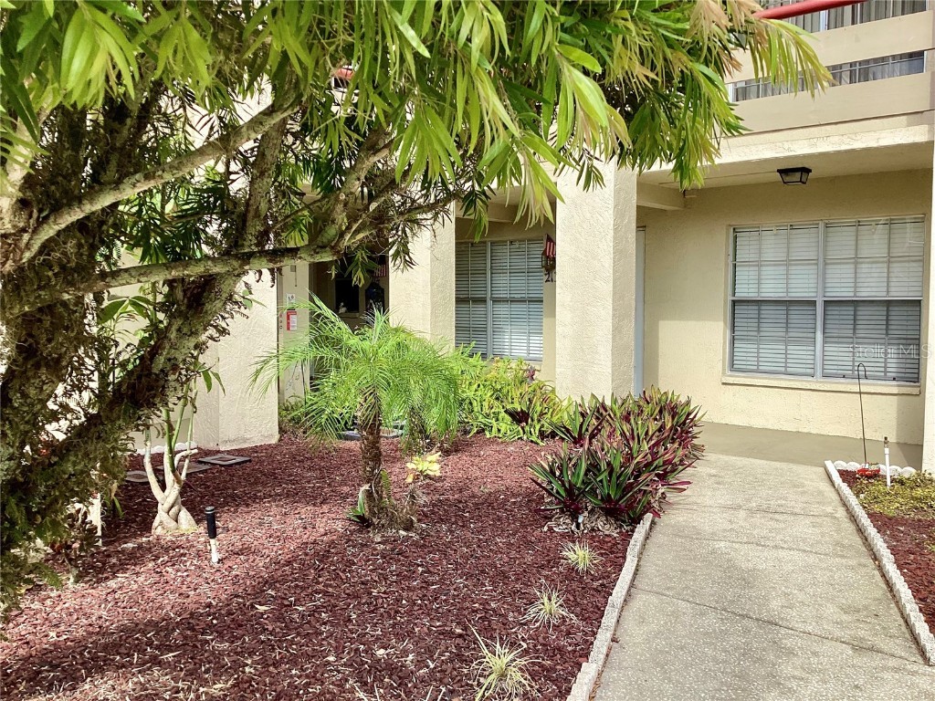 4529 Whitton Way #214 New Port Richey FL 34653 W7872284 image2