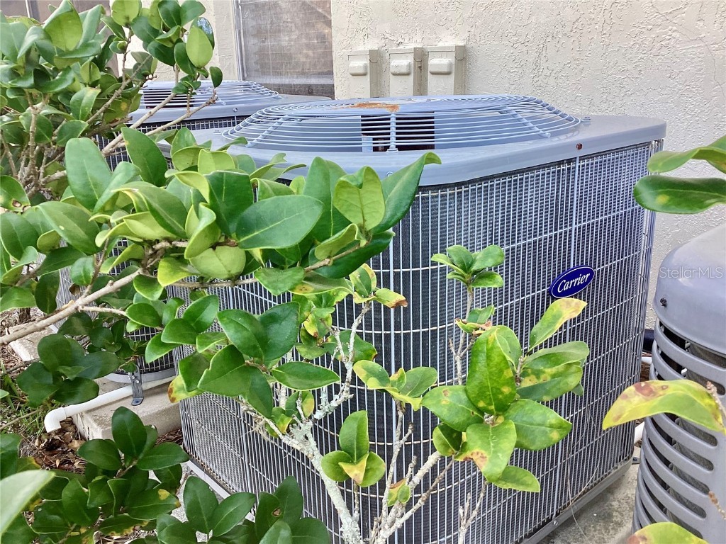 4529 Whitton Way #214 New Port Richey FL 34653 W7872284 image28