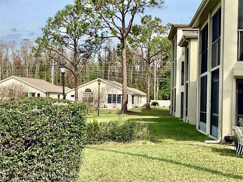 4529 Whitton Way #214 New Port Richey FL 34653 W7872284 image29