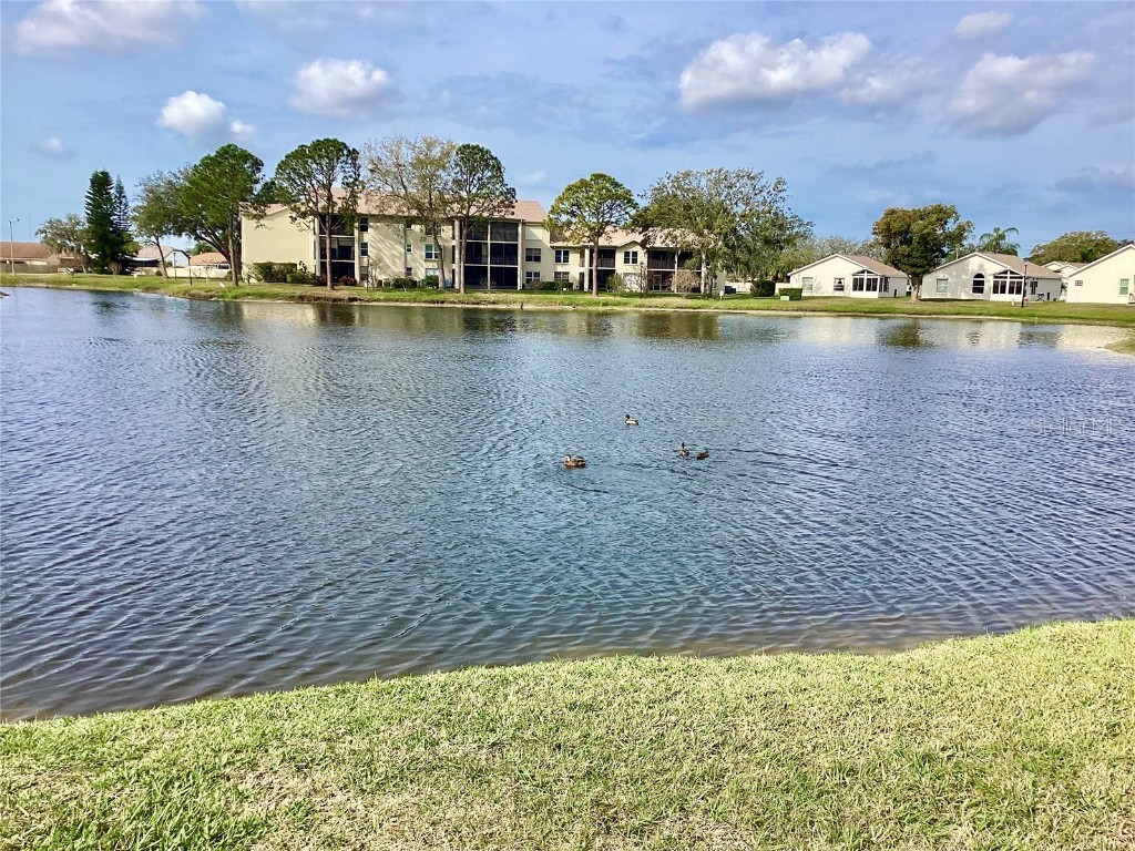 4529 Whitton Way #214 New Port Richey FL 34653 W7872284 image32