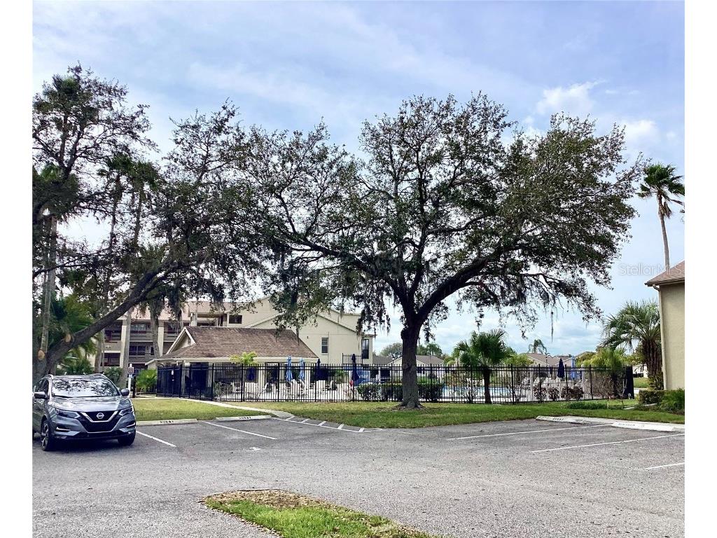 4529 Whitton Way #214 New Port Richey FL 34653 W7872284 image36