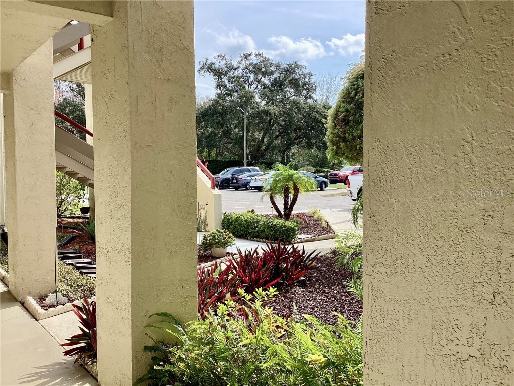 4529 Whitton Way #214 New Port Richey FL 34653 W7872284 image40