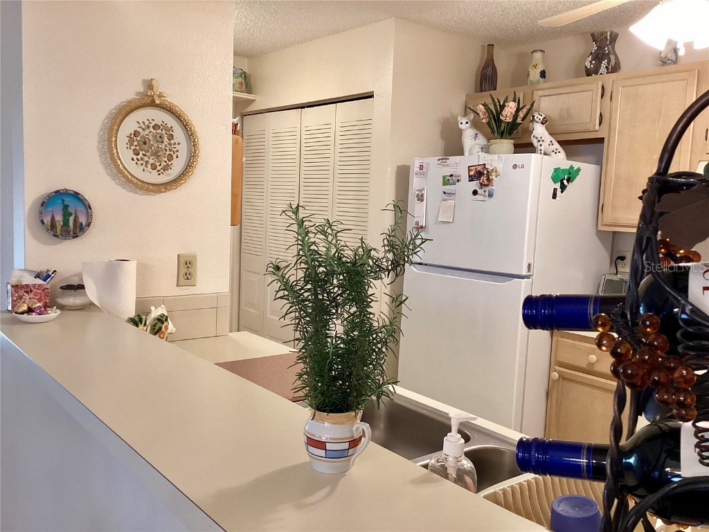 4529 Whitton Way #214 New Port Richey FL 34653 W7872284 image9