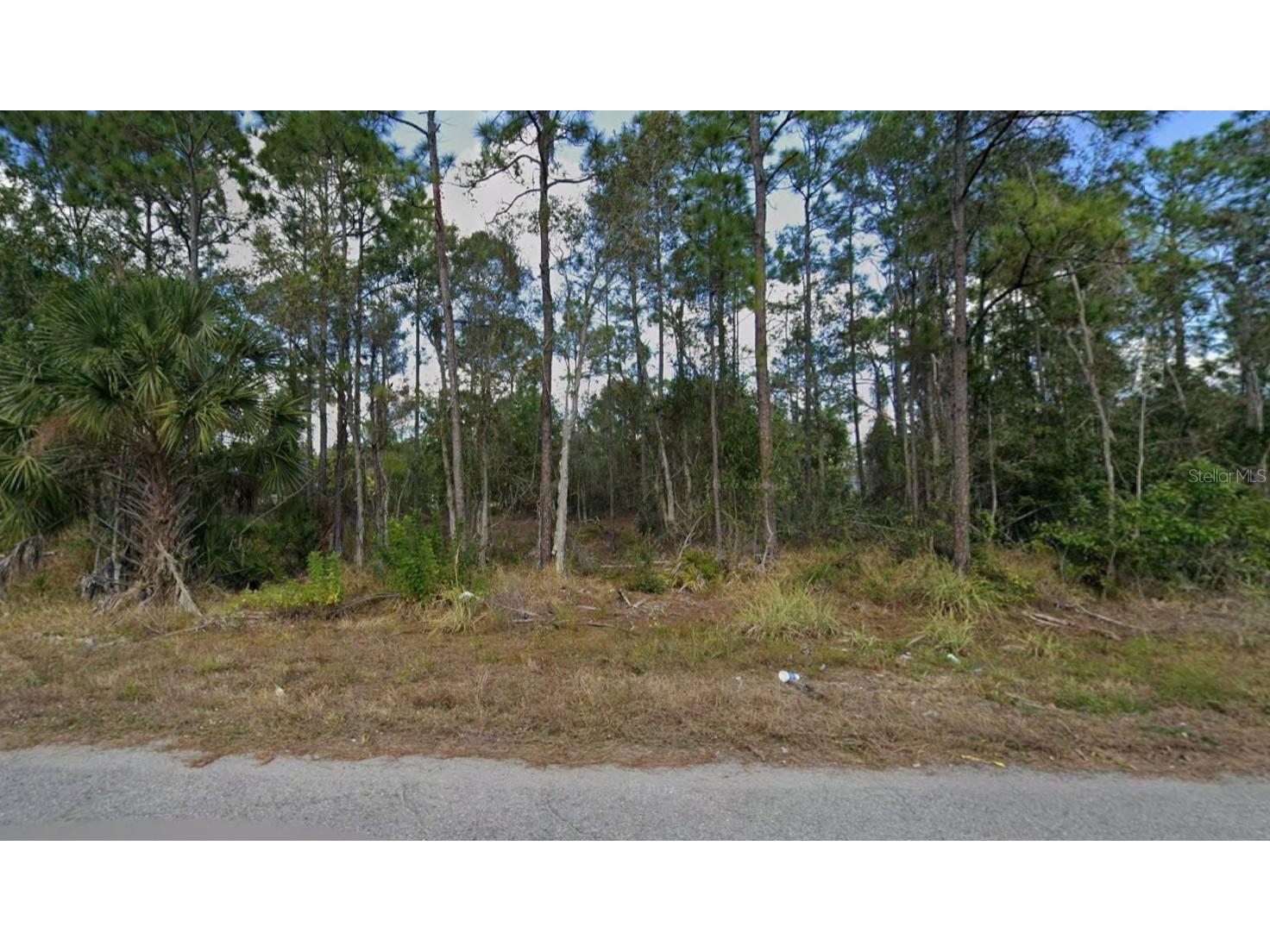 453 Conlee Street Lehigh Acres FL 33974 C7526105 image1