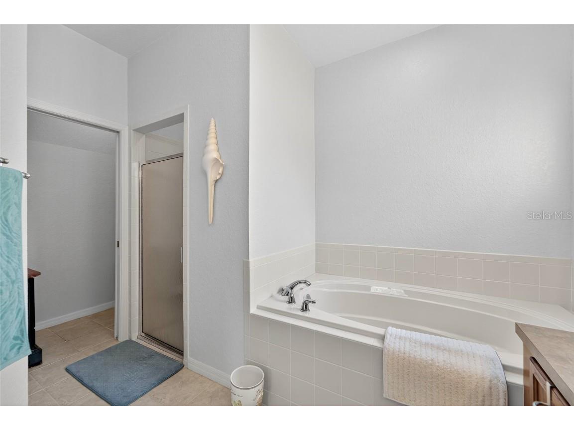 453 Nolane Lane Polk City FL 33868 L4955613 image37