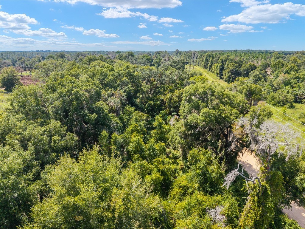 453 Old Hawthorne Road Hawthorne FL 32640 OM709241 image68