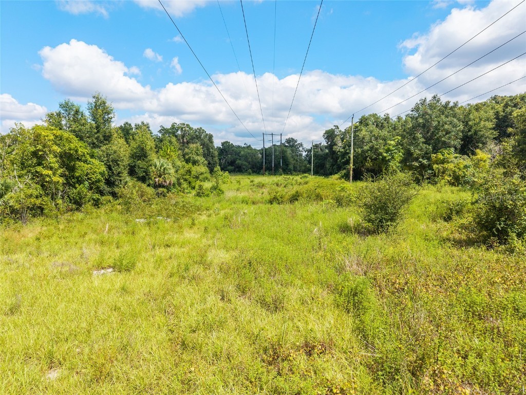 453 Old Hawthorne Road Hawthorne FL 32640 OM709241 image77