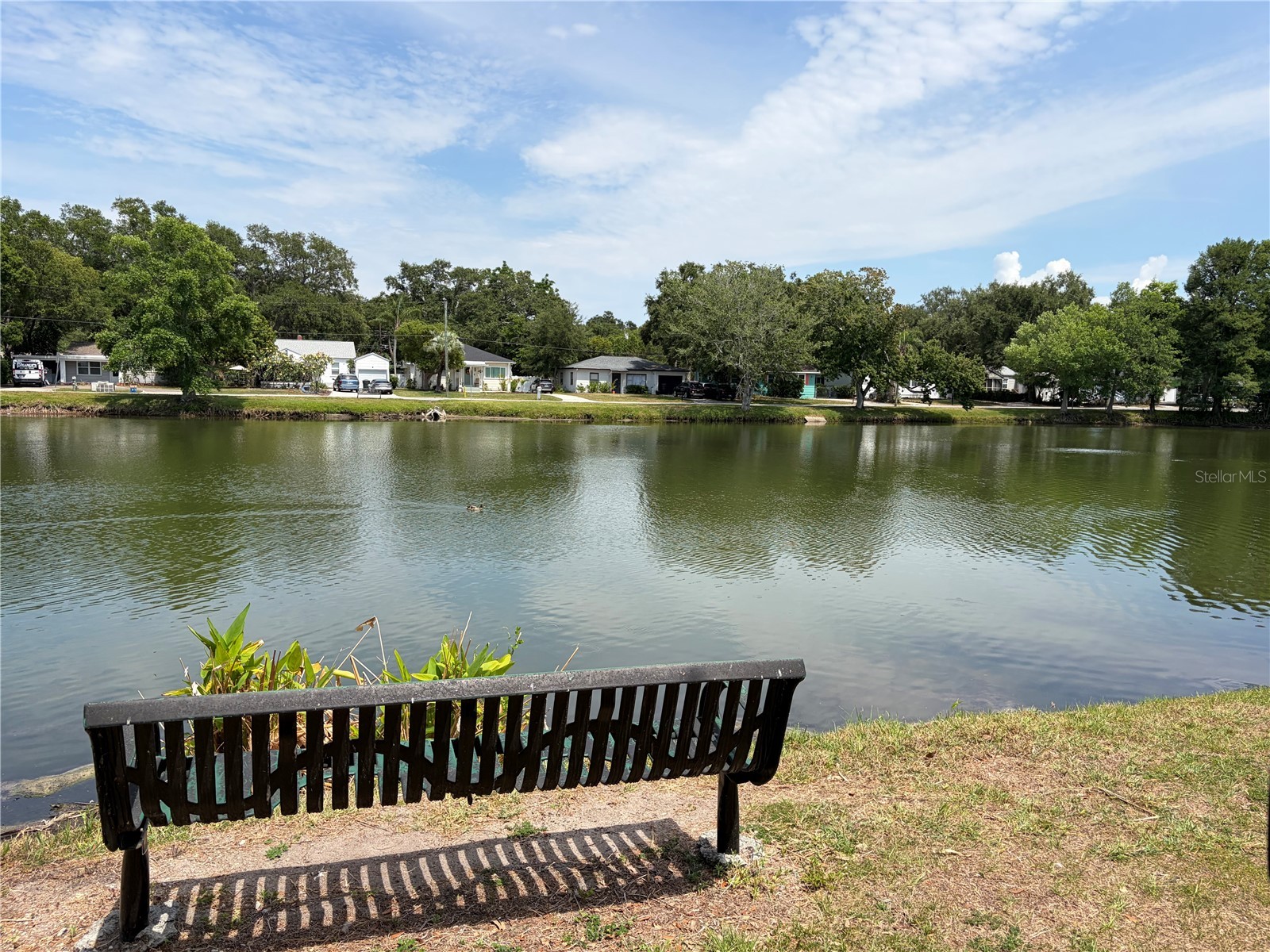 453 San Salvador Drive Dunedin FL 34698 O6406686 image10