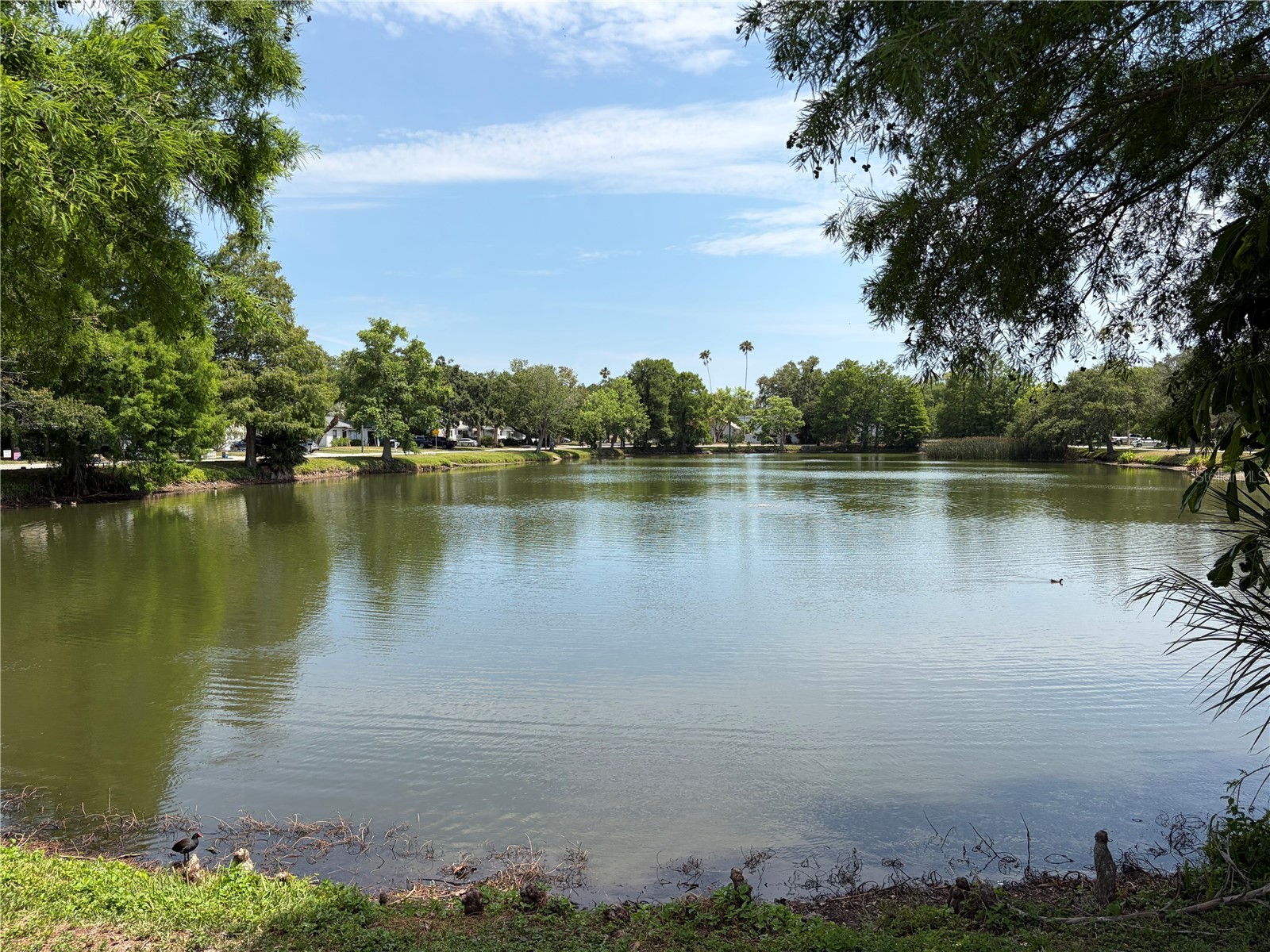 453 San Salvador Drive Dunedin FL 34698 O6406686 image7
