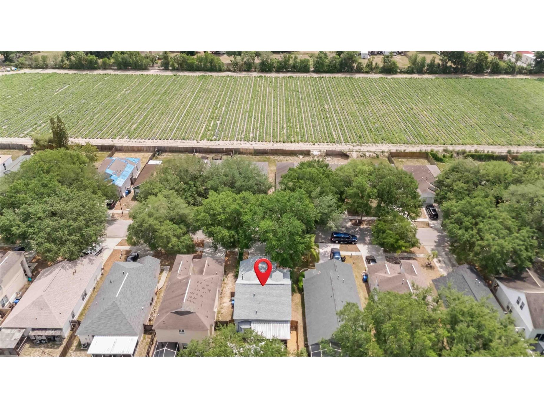 453 Summer Sails Drive Valrico FL 33594 TB8507901 image33