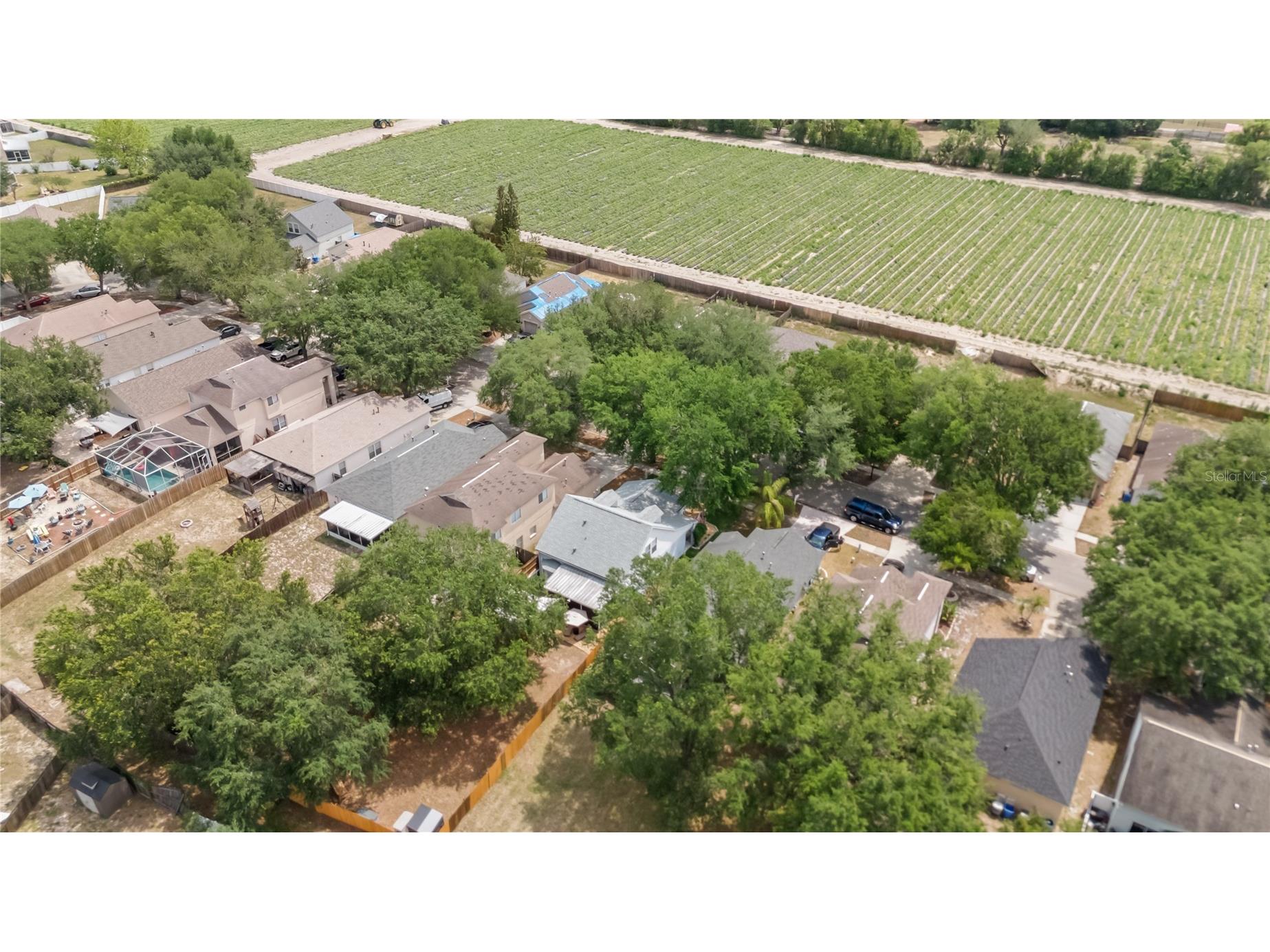 453 Summer Sails Drive Valrico FL 33594 TB8507901 image34
