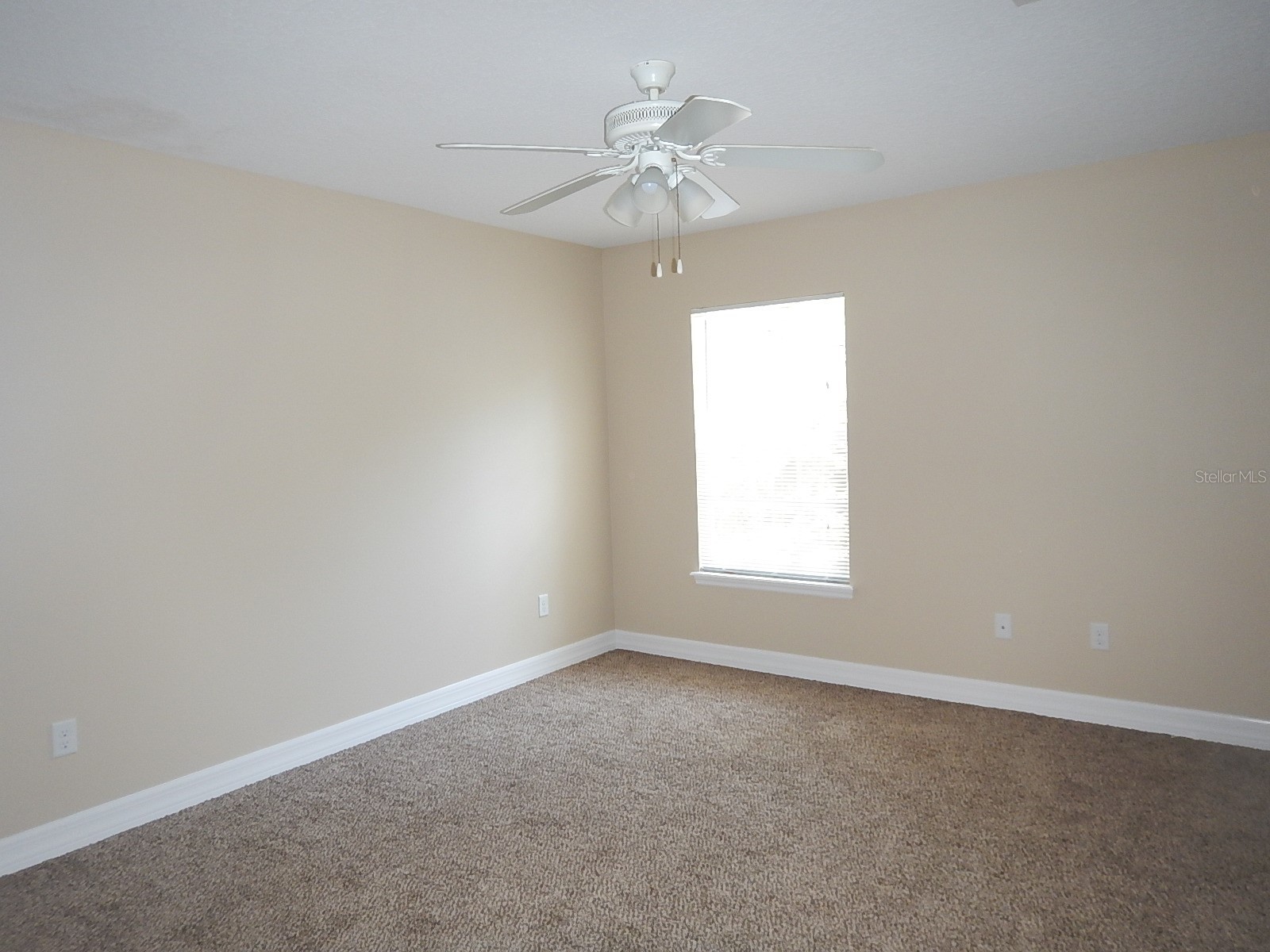 453 W Desoto Street Clermont FL 34711 - Crystal Lake G5110538 image12