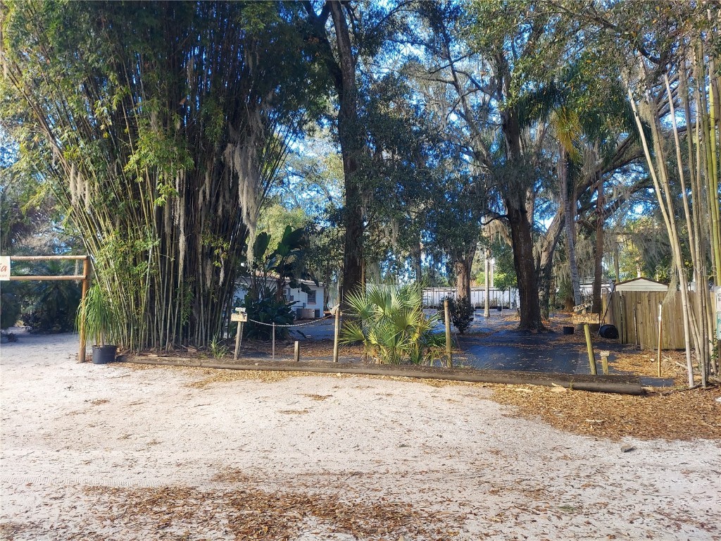 453 W Dr Martin Luther King Jr Boulevard Seffner FL 33584 T3461113 image1