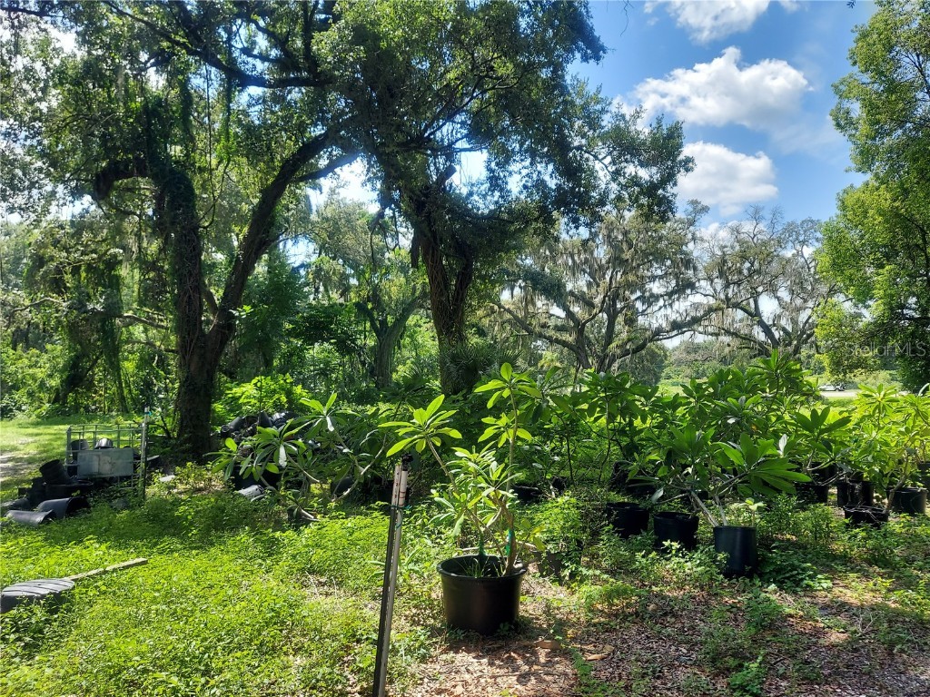 453 W Dr Martin Luther King Jr Boulevard Seffner FL 33584 T3461113 image11