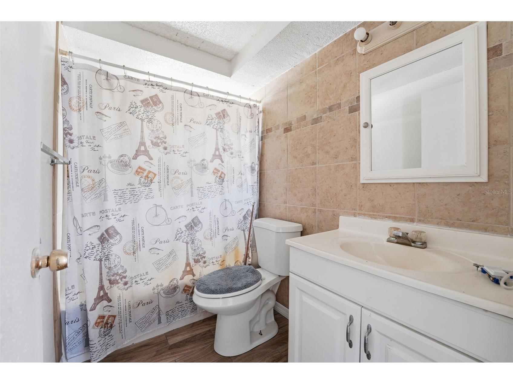 4530 Cazes Avenue North Port FL 34287 D6147091 image12