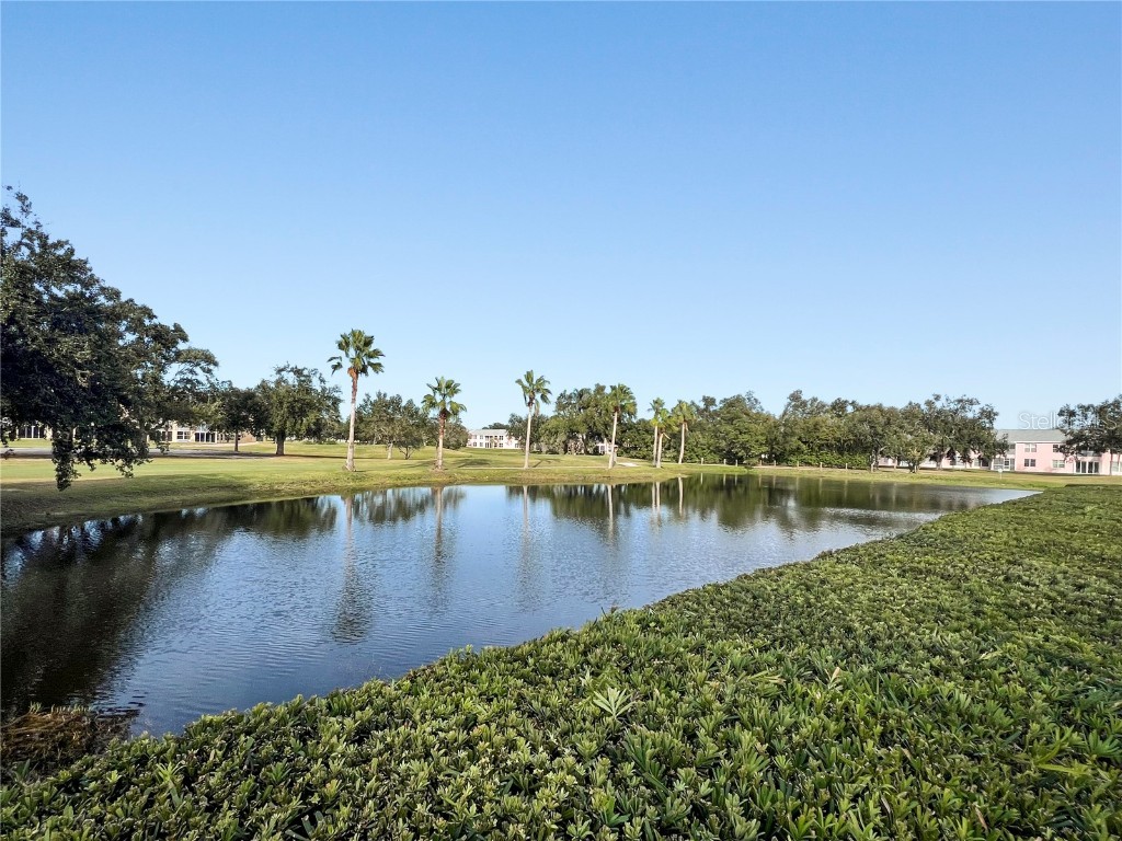 4530 Pinebrook Circle #103 Bradenton FL 34209 A4671910 image33