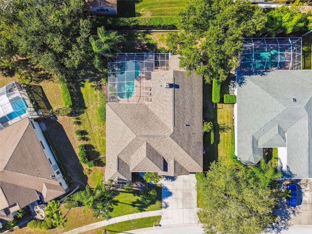 4530 Roanoak Way Palm Harbor FL 34685 - LAKE TARPON TB8445378 image3