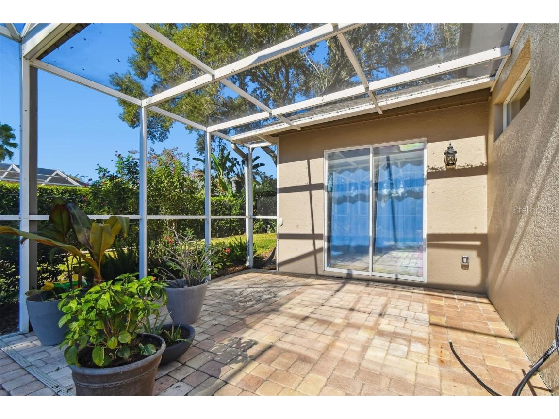 4530 Roanoak Way Palm Harbor FL 34685 - LAKE TARPON TB8445378 image43