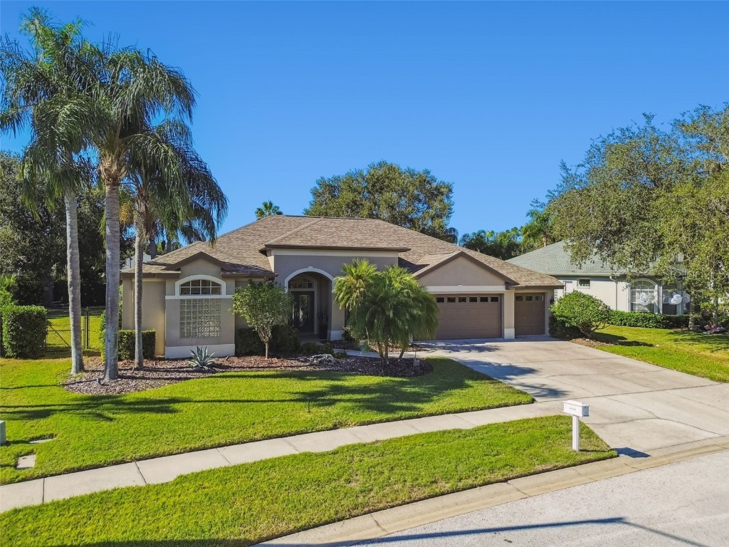 4530 Roanoak Way Palm Harbor FL 34685 - LAKE TARPON TB8445378 image46