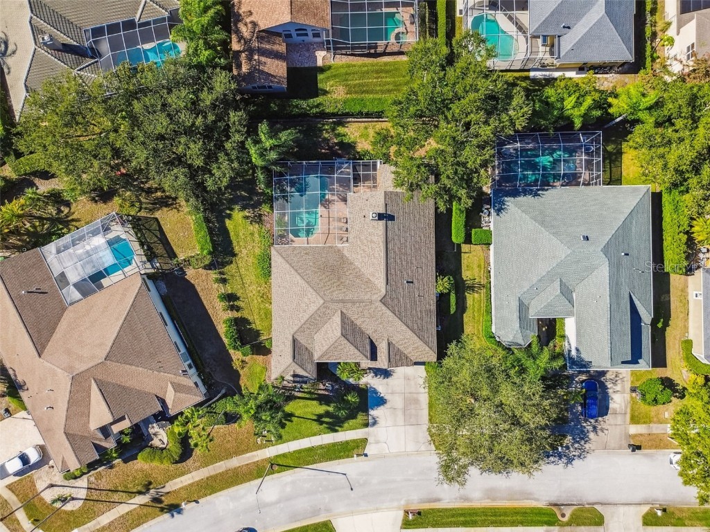 4530 Roanoak Way Palm Harbor FL 34685 - LAKE TARPON TB8445378 image47