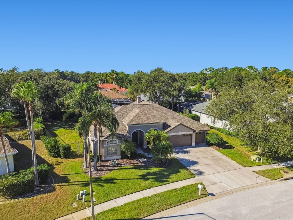 4530 Roanoak Way Palm Harbor FL 34685 - LAKE TARPON TB8445378 image49