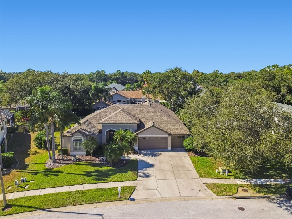 4530 Roanoak Way Palm Harbor FL 34685 - LAKE TARPON TB8445378 image50