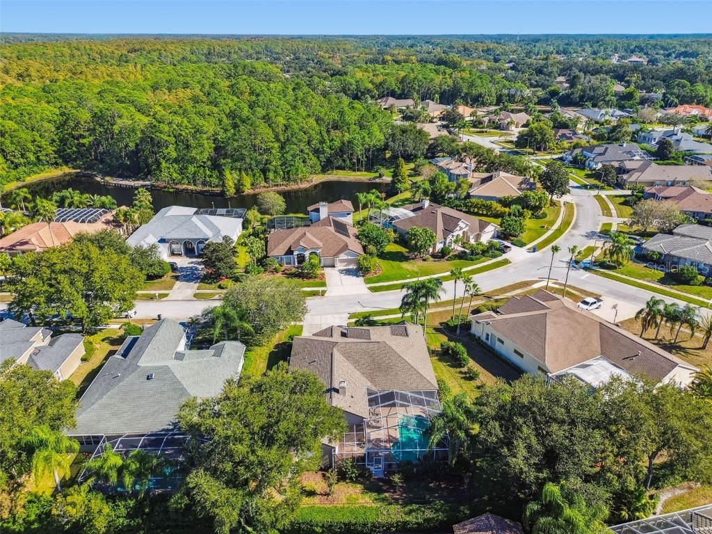 4530 Roanoak Way Palm Harbor FL 34685 - LAKE TARPON TB8445378 image51