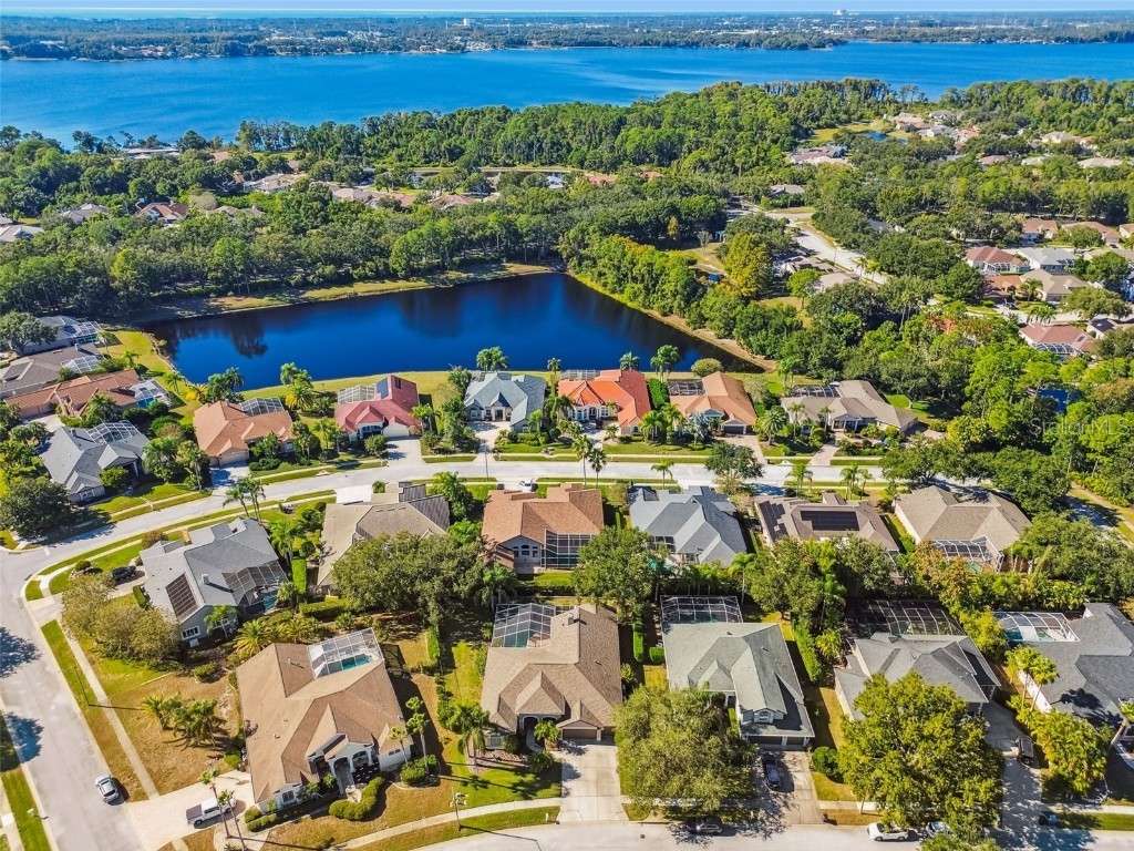 4530 Roanoak Way Palm Harbor FL 34685 - LAKE TARPON TB8445378 image52