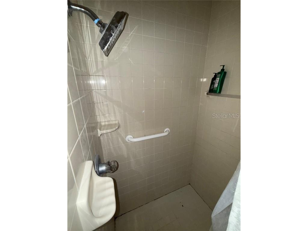 4530 Swinger Road Dover FL 33527 TB8452680 image11