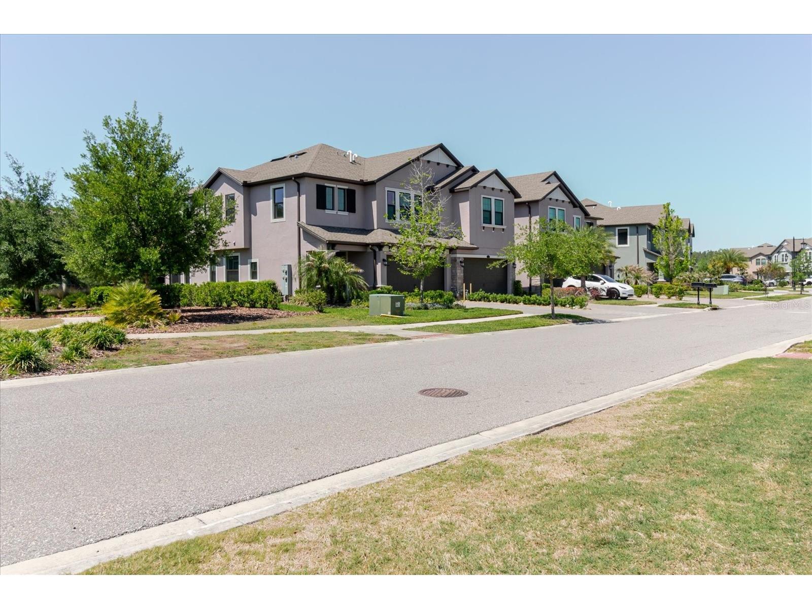 4531 Almada Lane SE Wesley Chapel FL 33543 TB8499537 image3