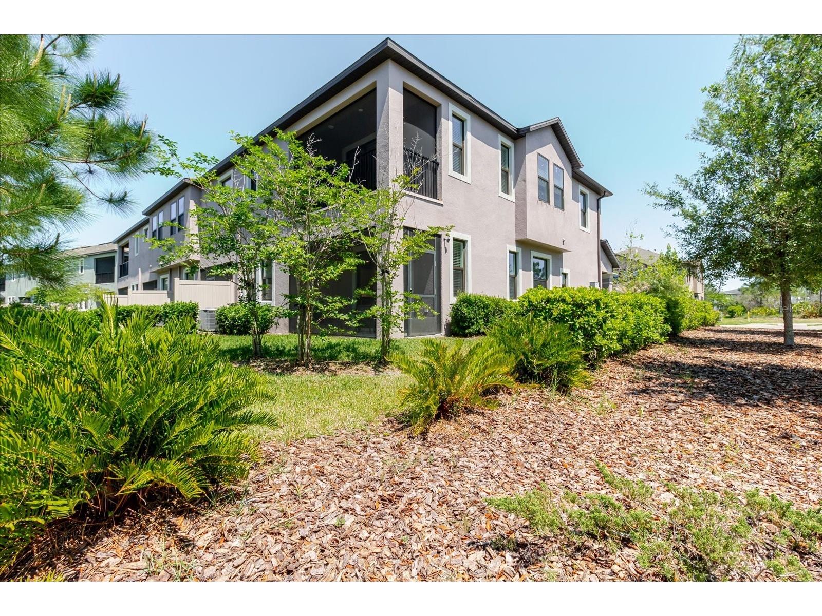 4531 Almada Lane SE Wesley Chapel FL 33543 TB8499537 image4
