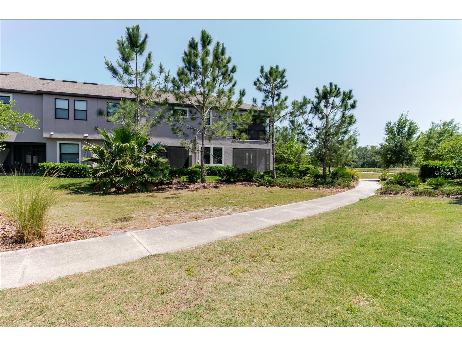 4531 Almada Lane SE Wesley Chapel FL 33543 TB8499537 image6
