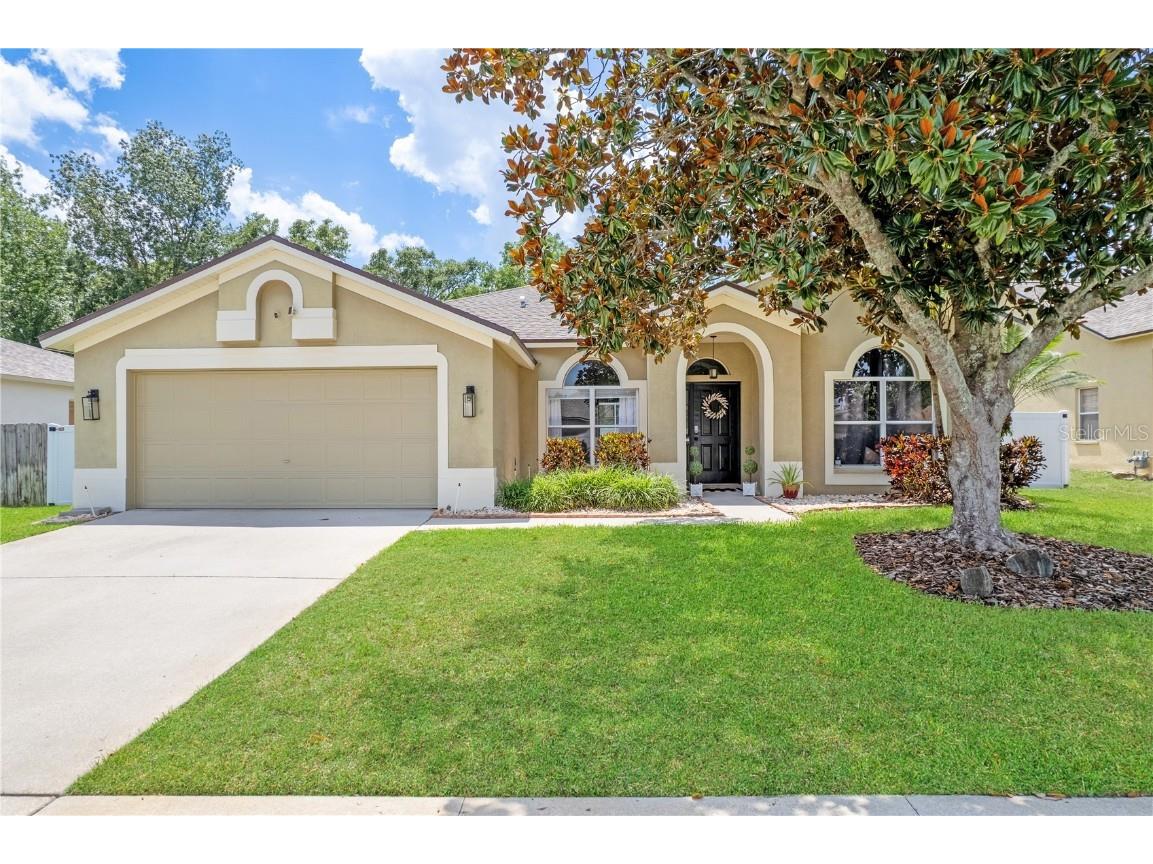 4531 River Overlook Drive Valrico FL 33596 TB8393835 image1