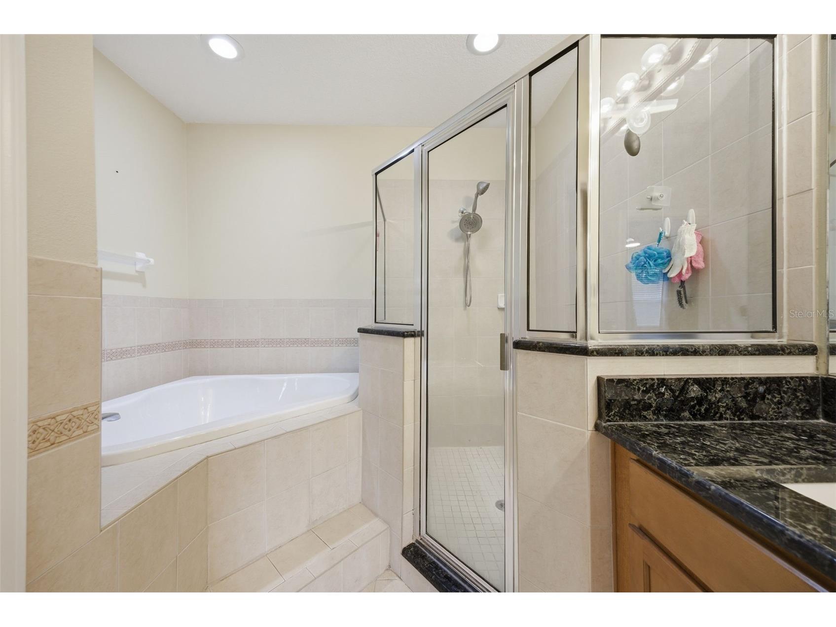 4532 Amberly Oaks Court Tampa FL 33614 TB8511409 image24