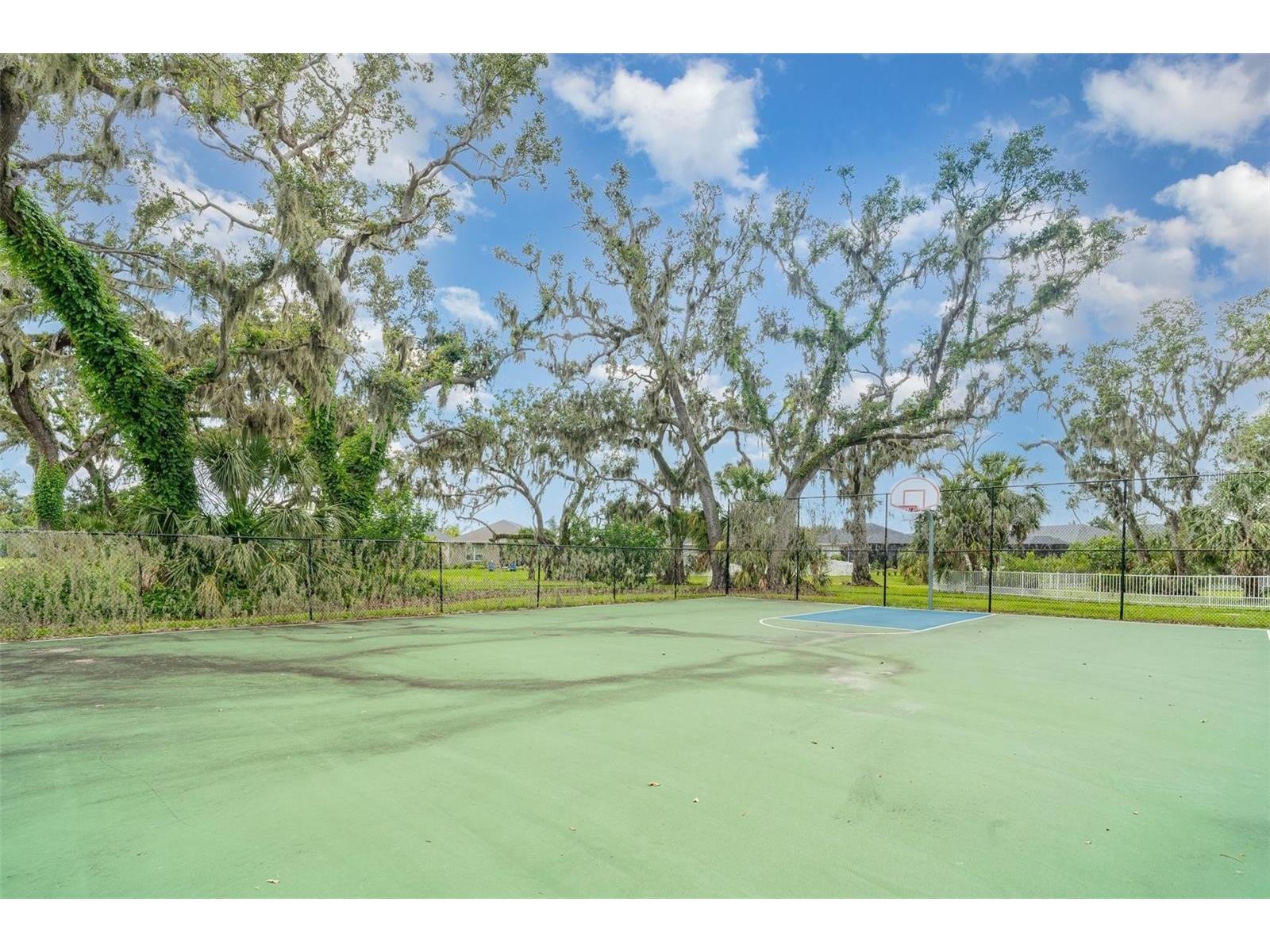 4532 Deep Creek Terrace Parrish FL 34219 A4678468 image65