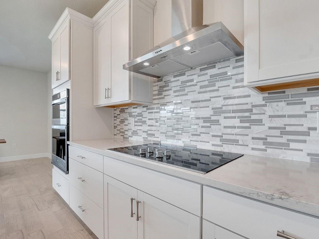 4532 Gliding Wave Street Winter Garden FL 34787 S5134888 image12