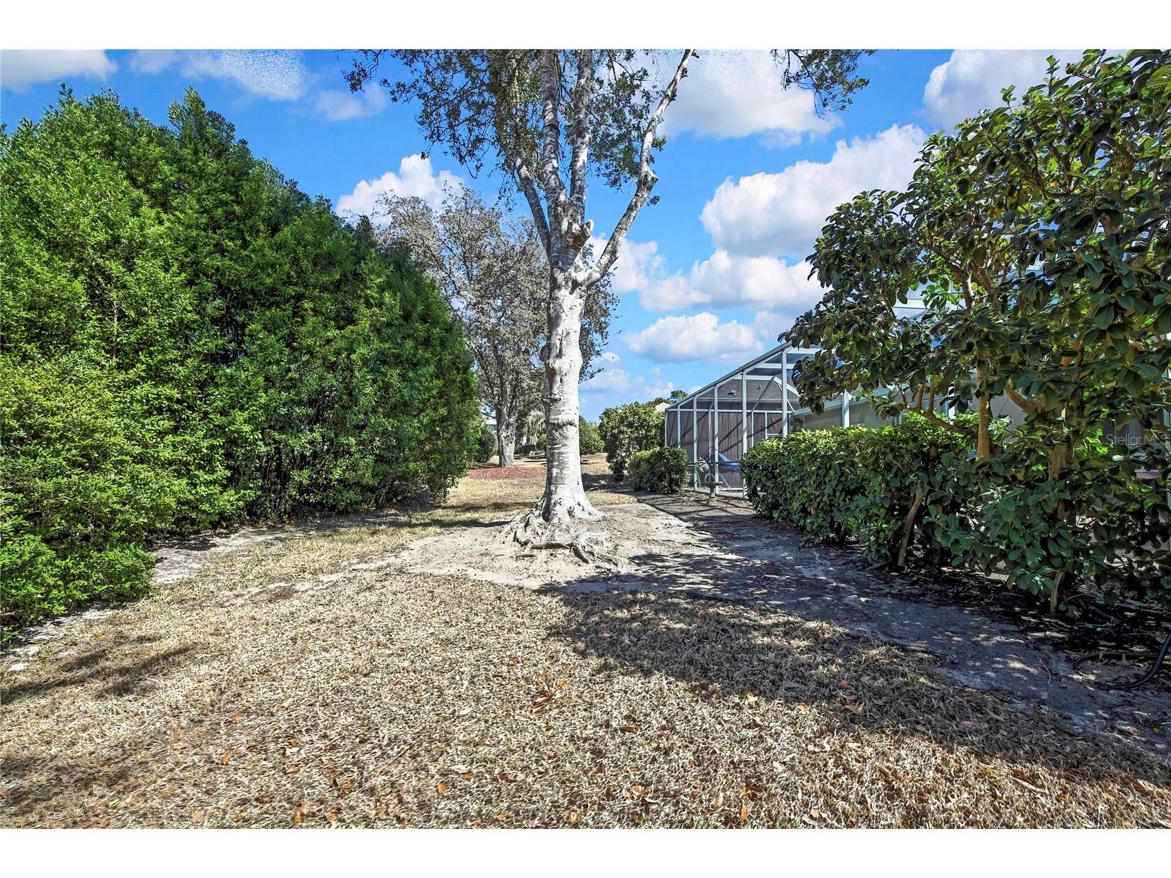 4532 N Jademoor Drive Beverly Hills FL 34465 OM718901 image49