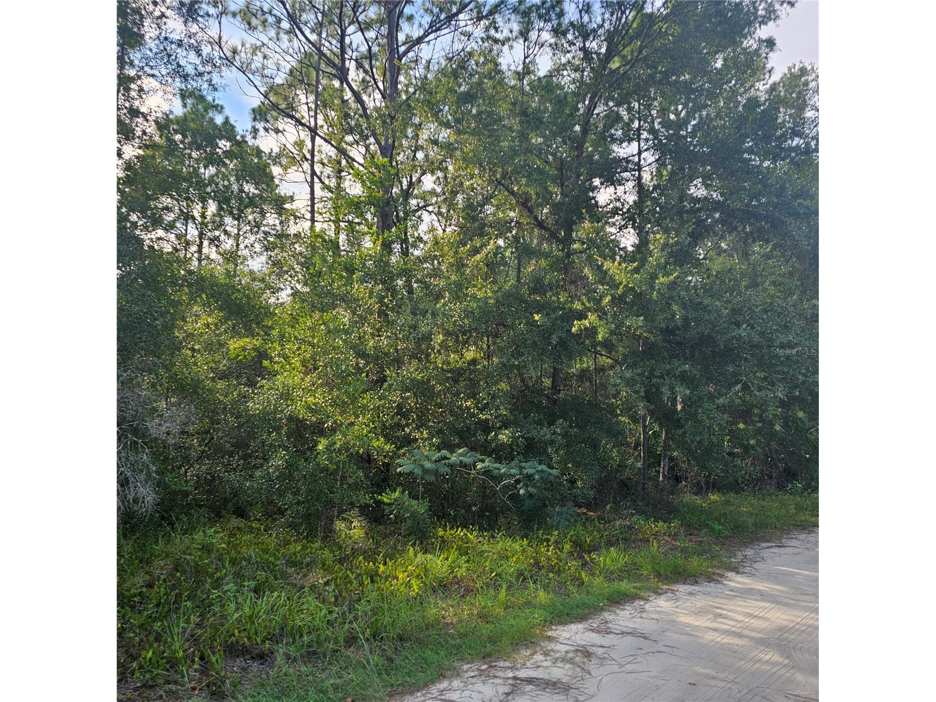 4532 N Mitchum Point Crystal River FL 34428 TB8413340 image1