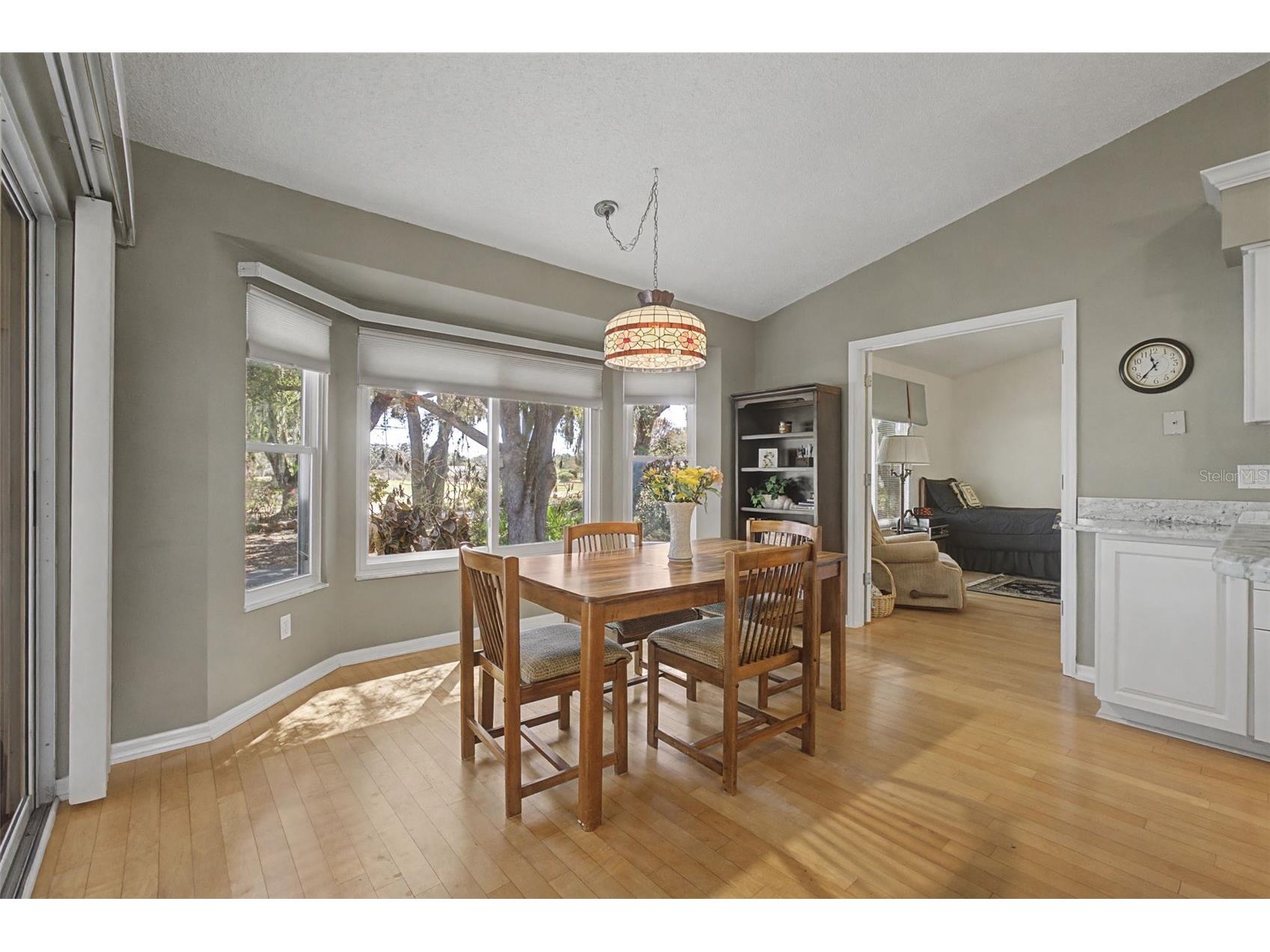 4532 River Ridge Drive Leesburg FL 34748 G5108460 image12