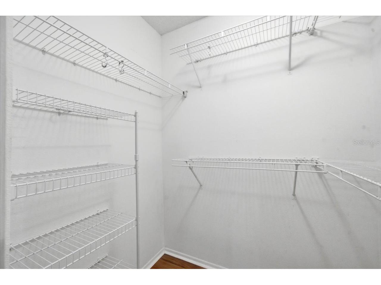 4532 Wild Plum Lane Lutz FL 33558 TB8522266 image17