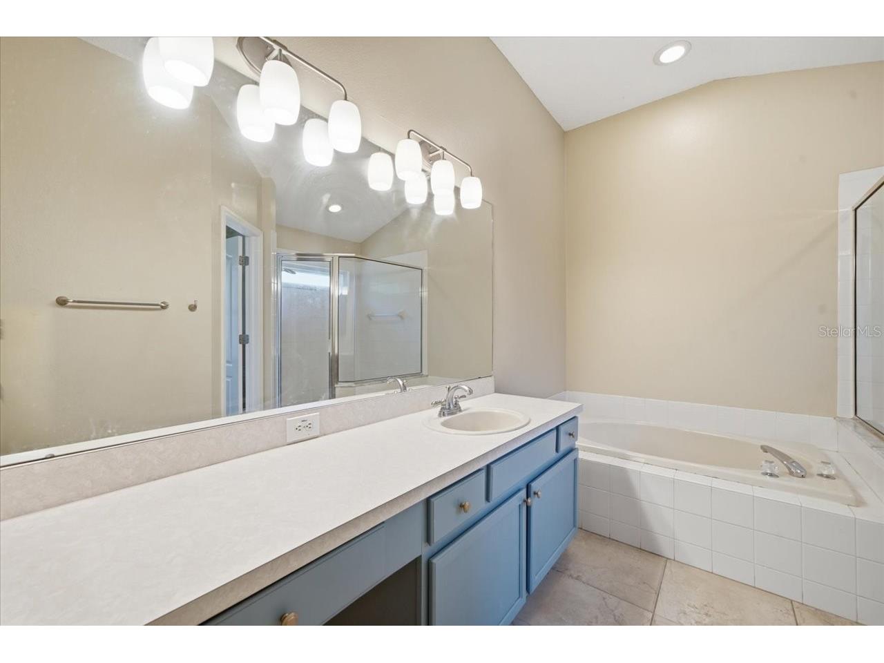 4532 Wild Plum Lane Lutz FL 33558 TB8522266 image18