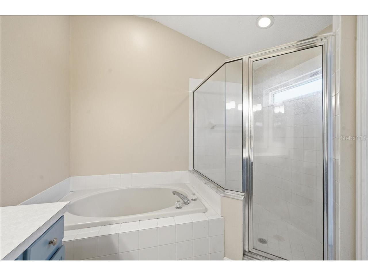4532 Wild Plum Lane Lutz FL 33558 TB8522266 image19