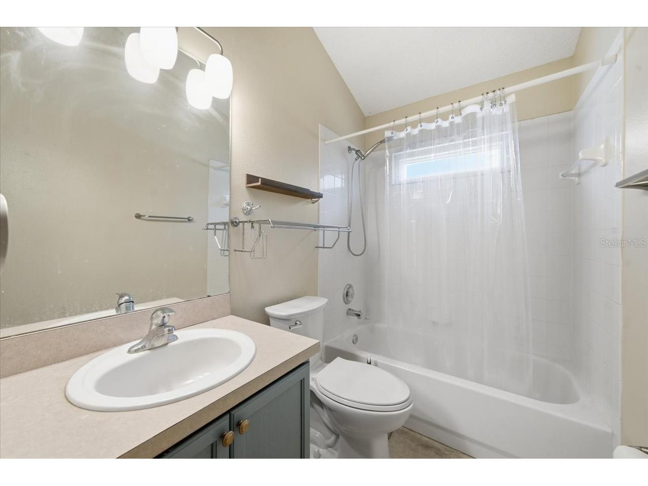4532 Wild Plum Lane Lutz FL 33558 TB8522266 image21