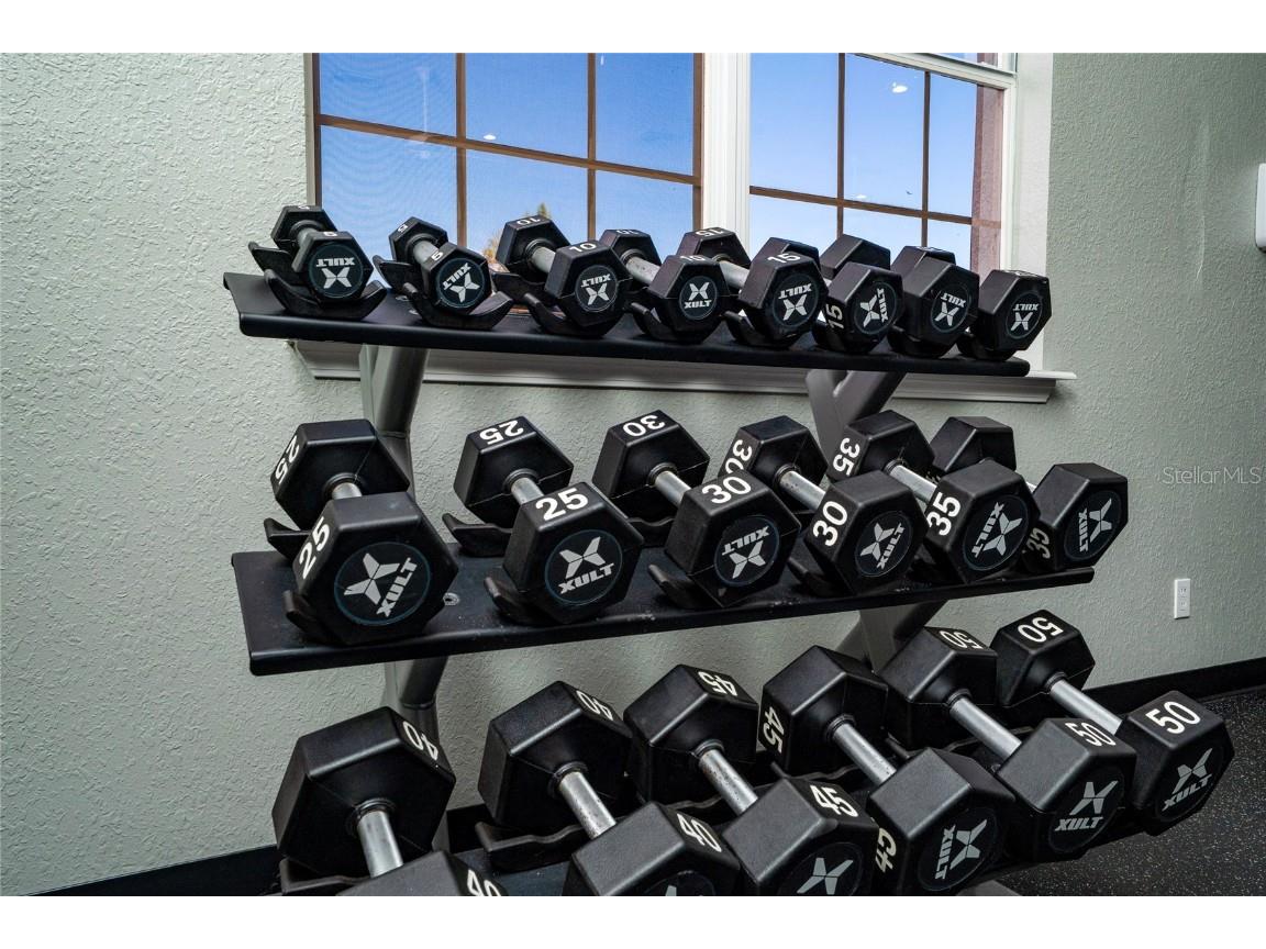 4533 Caladium Court Kissimmee FL 34758 S5138559 image45