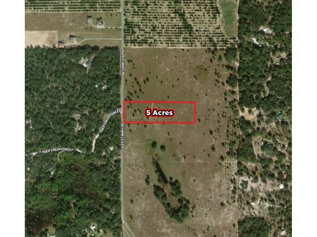 4533 Glen St. Mary Road Lake Wales FL 33898 P4928426 image1
