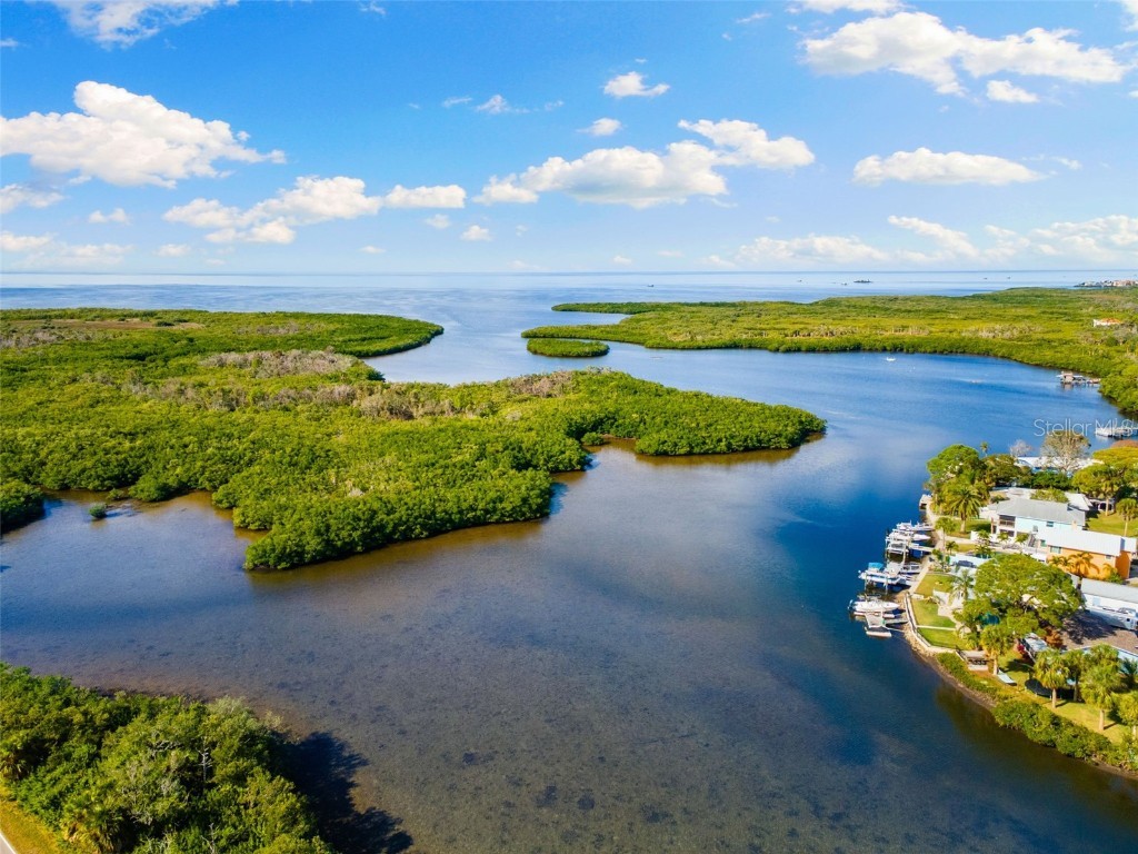 4533 Heron Lodge New Port Richey FL 34652 TB8457845 image25