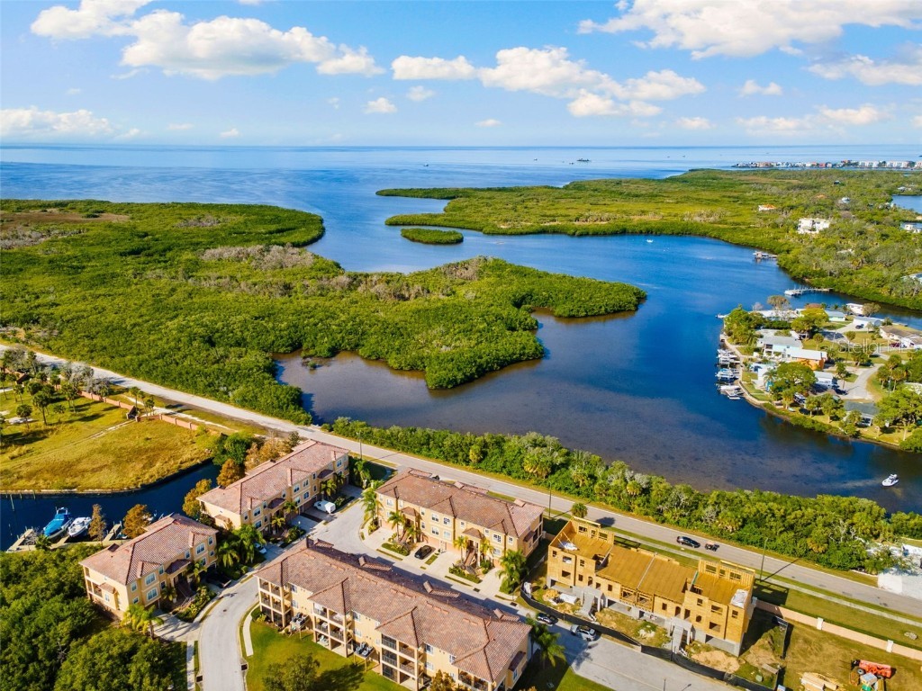 4533 Heron Lodge New Port Richey FL 34652 TB8457845 image26