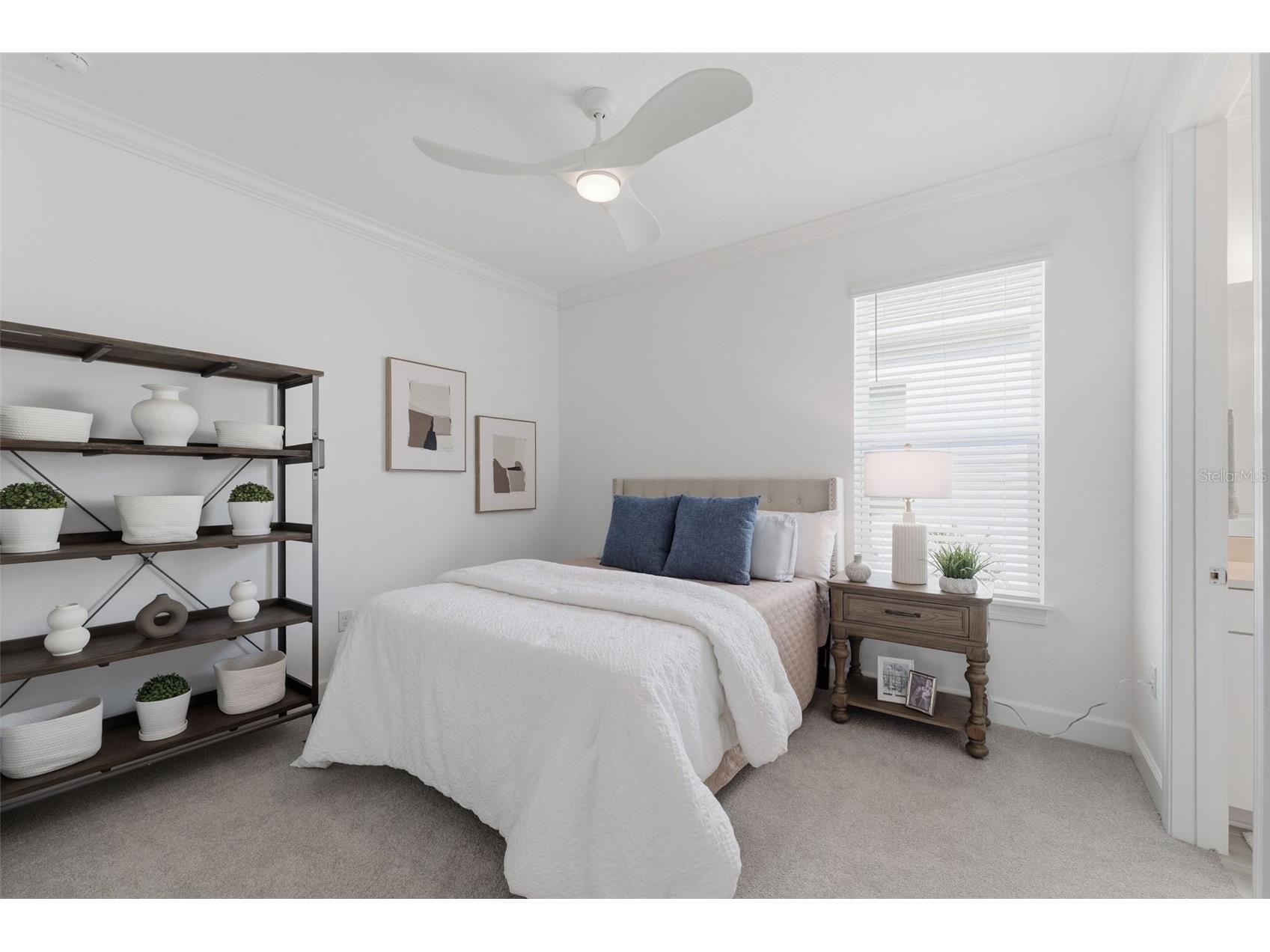 4533 Isonzo Way Wesley Chapel FL 33543 W7883832 image17