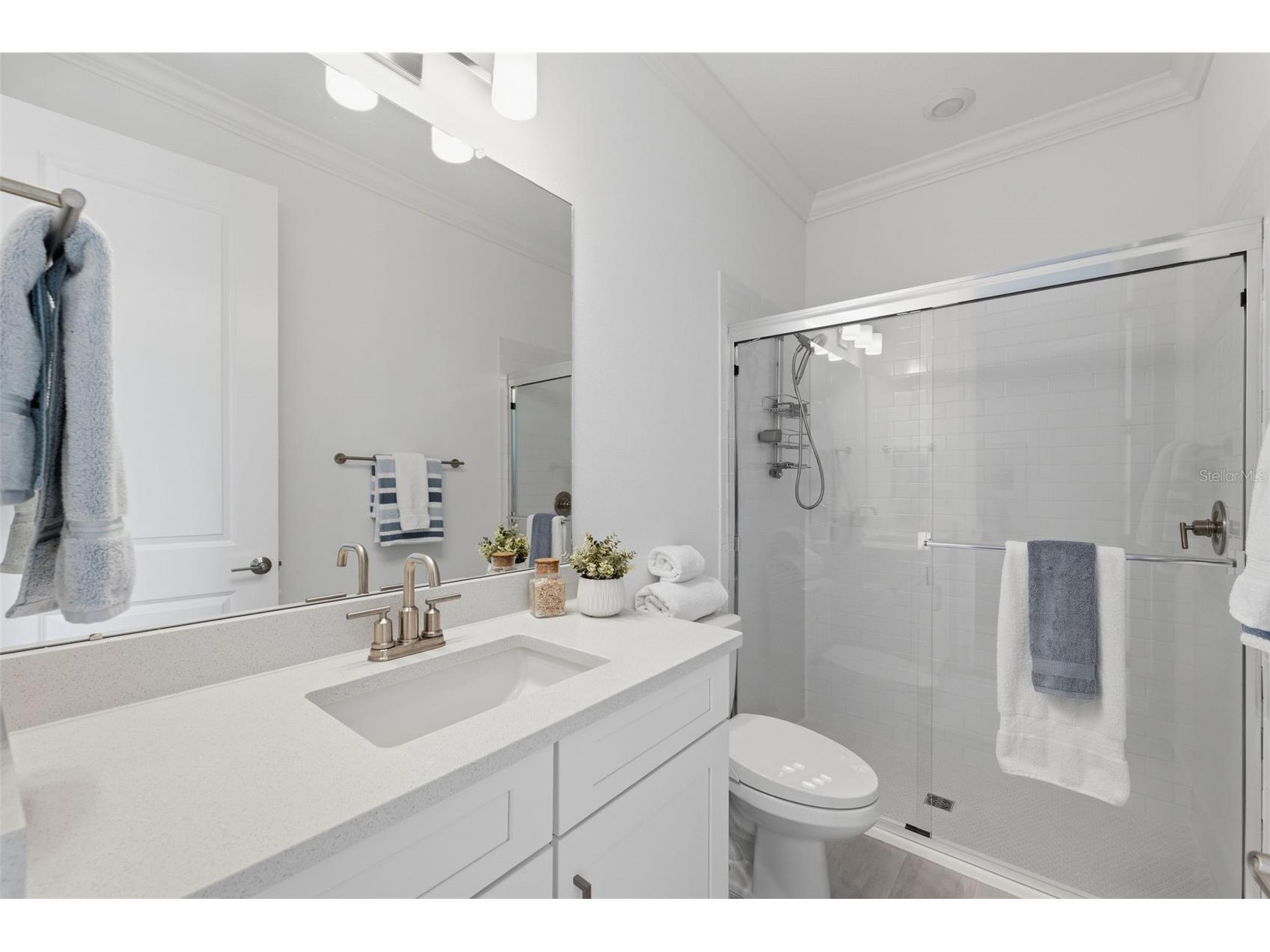4533 Isonzo Way Wesley Chapel FL 33543 W7883832 image18